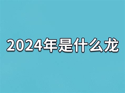 2024 年是什么年|2024年